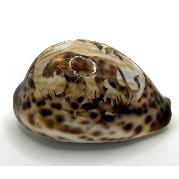 Vintage Souvenir Carved Spotted Cowrie Shell With African Lion Motif - Picture 5 of 8